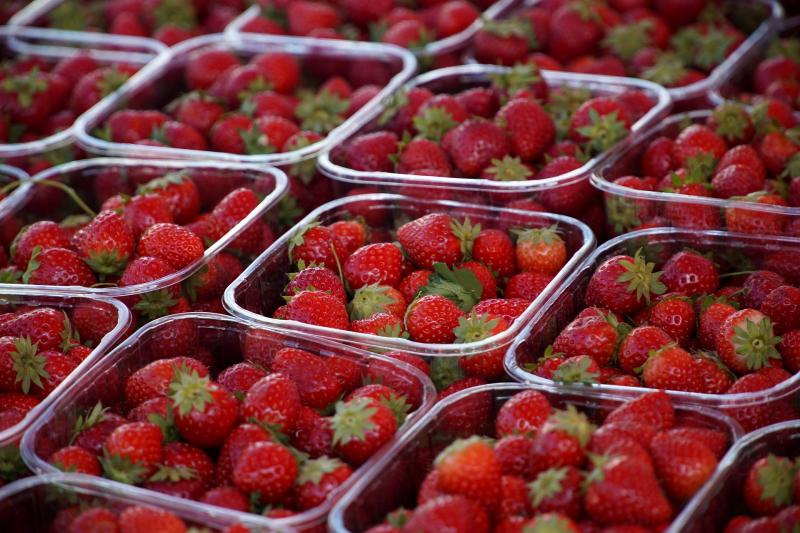 Açaí Para Revenda: Lucratividade E Suporte Ao Empreendedor