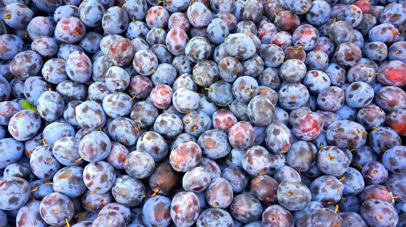 Fabrica De Açaí Para Revenda: Fornecimento Seguro E Rápido